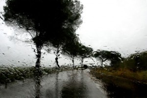 Rain (27) by Abbas Kiarostami (2007). Image courtesy of The Guardian.